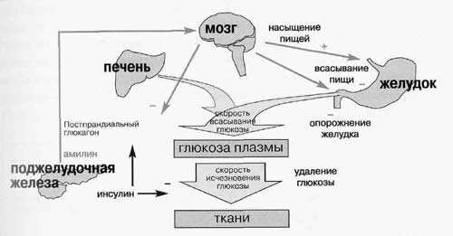 Кстати, спросите эндокринолога про средство для похудения, они знают много таких