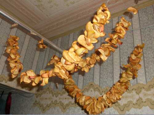 Альден