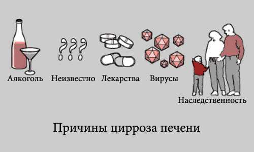 Алкоголь главный враг печени, ведь именно злоупотребление алкогольными напитками приводит к ее дисфункции