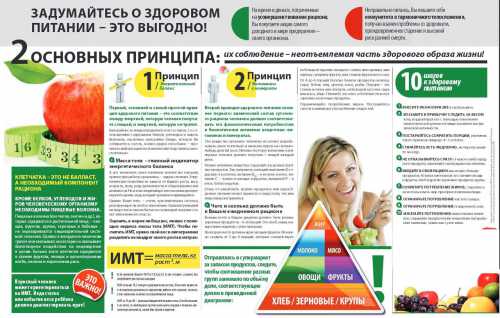 Сильножирные продукты лучше не брать, как и обезжиренные