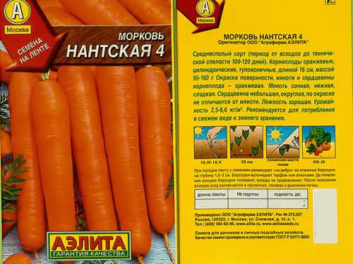Раунд бэби