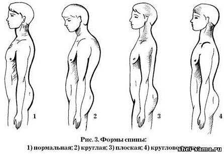 Итак, у вас родится девочка, если