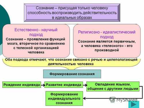 Это в какойто степени объясняет наличие загадочной женской интуиции